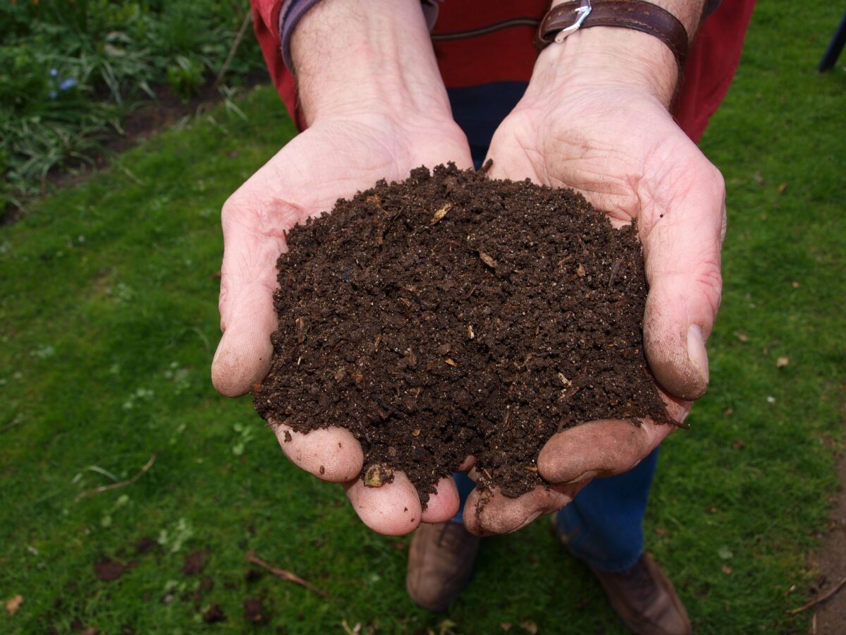 Café Compost