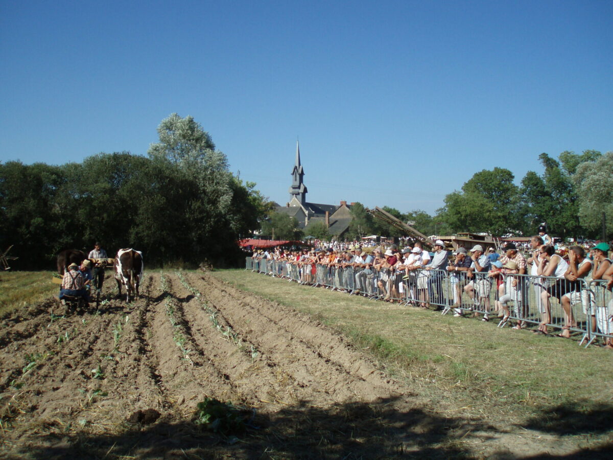 Fête des battages le 28 juillet