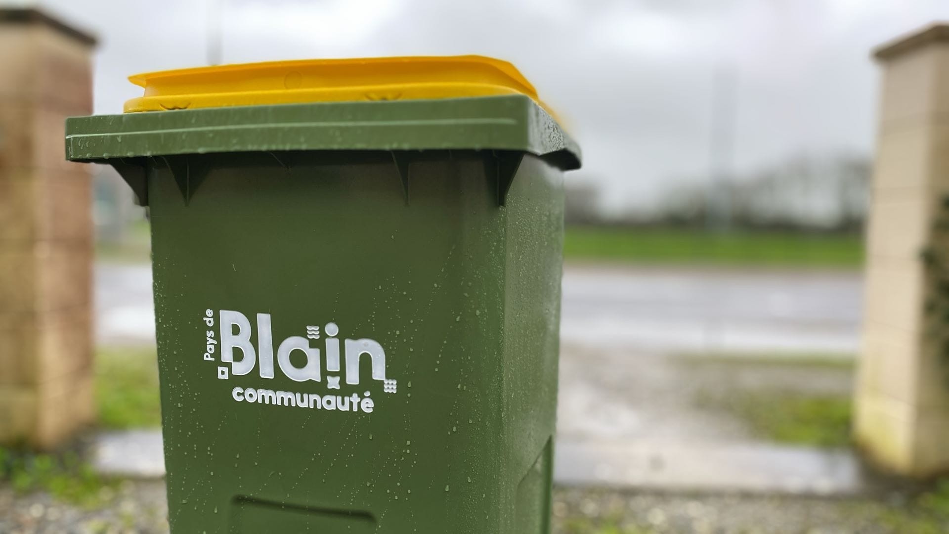 image Report de collecte