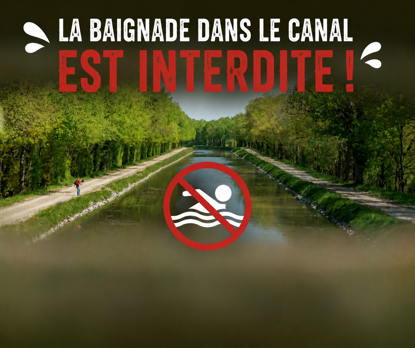 image CANICULE : quelques rappels importants !