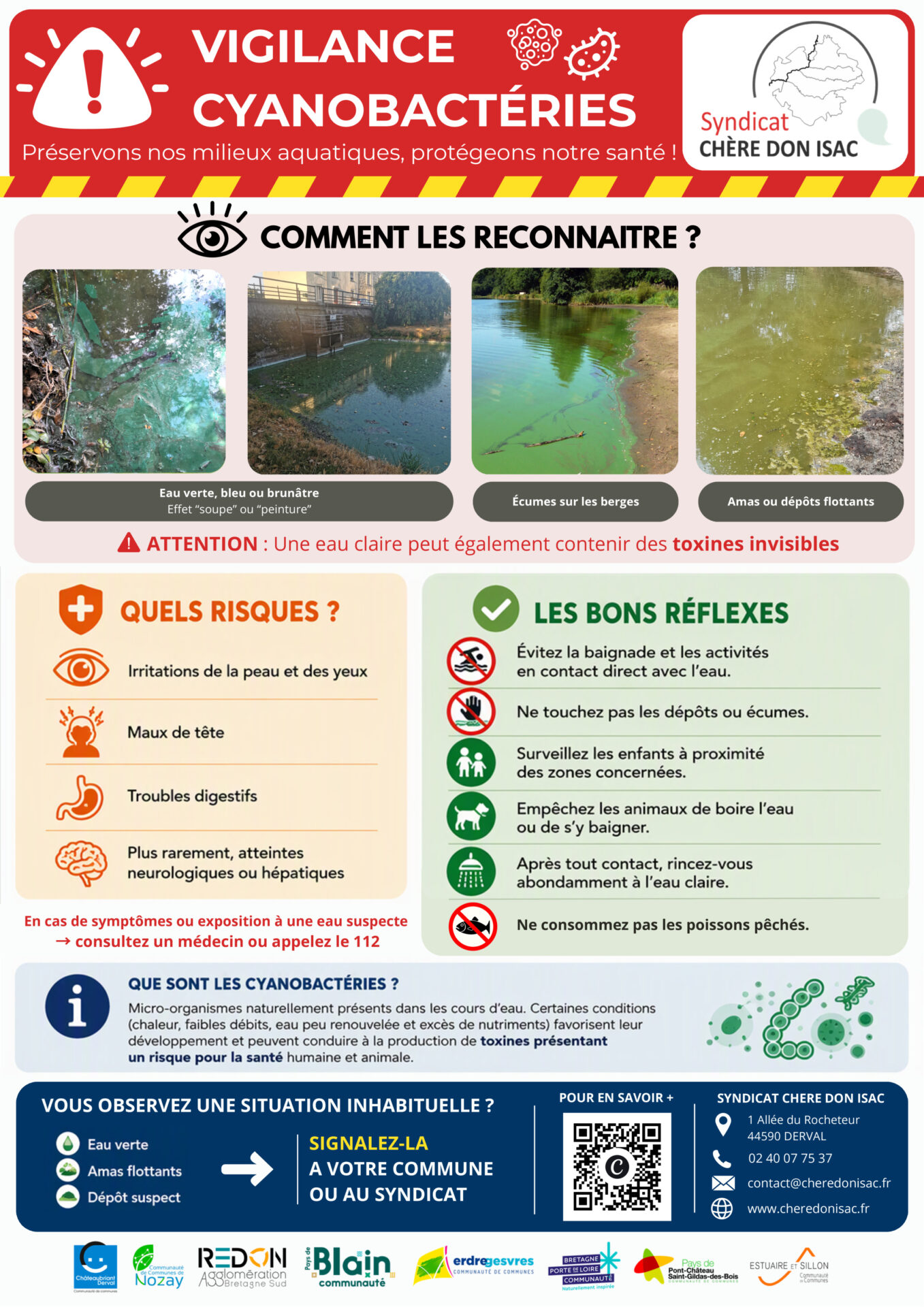 image Cyanobactéries : comment les reconnaître ?